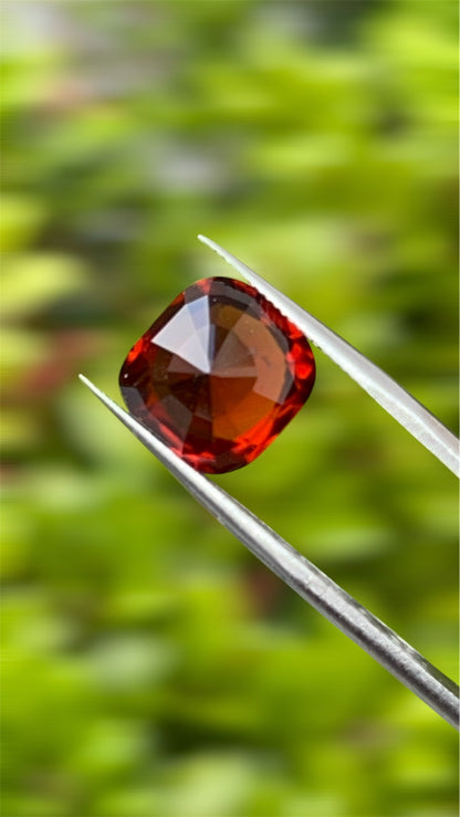 Natural Grossular Garnet (Hessonite) | 9.06ct | Cushion Brilliant Mixed | GIA Alumni Lab Report Provided