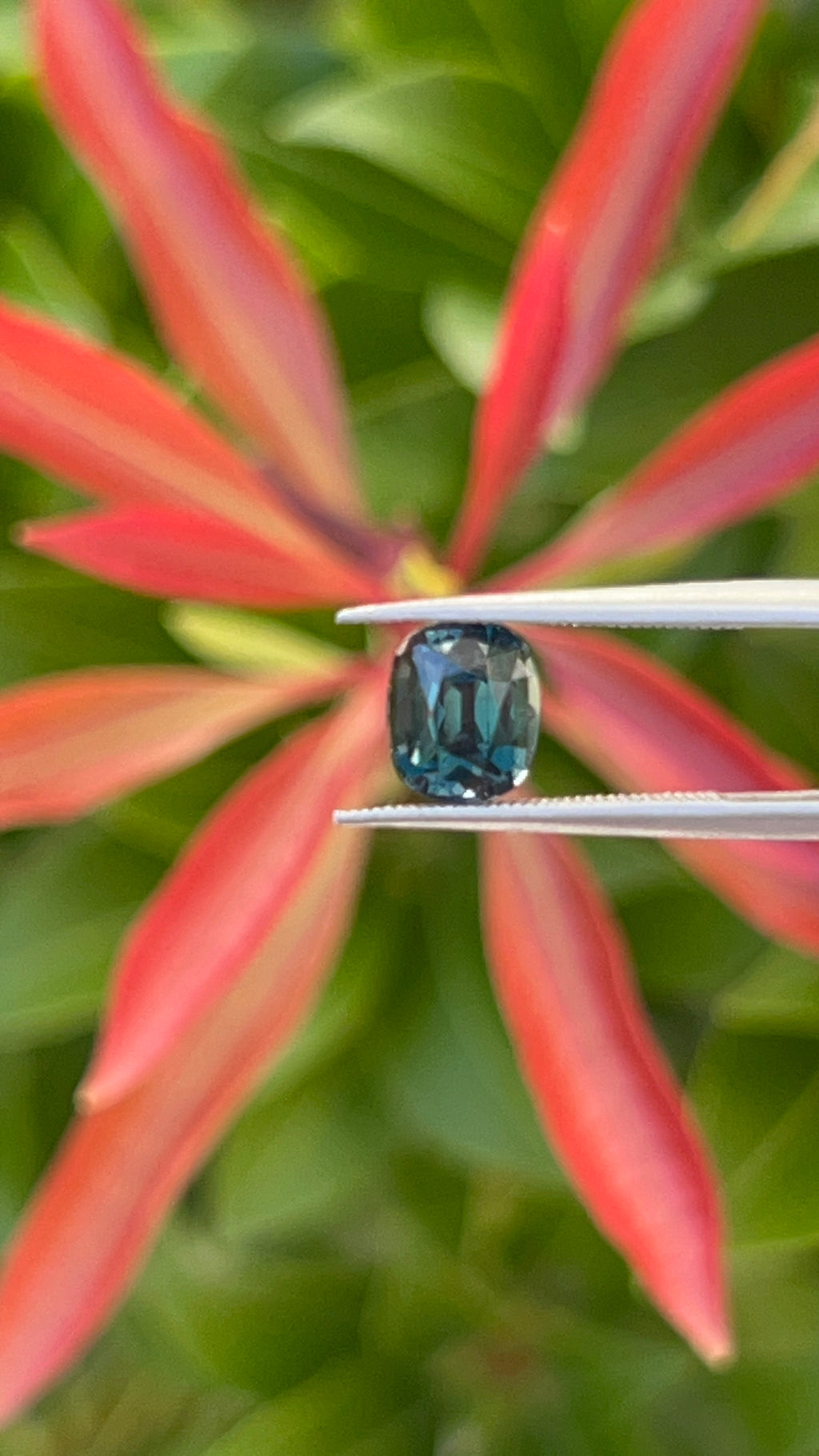 Teal Sapphire | 1.28ct | GIA Alumni Certified | Best Colour