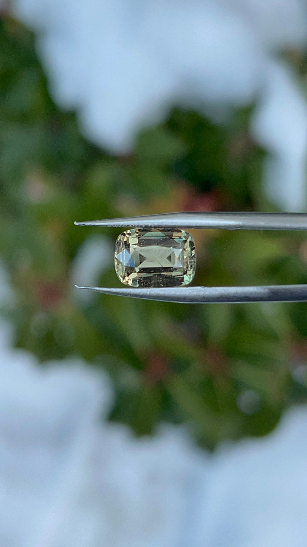 Natural Alexandrite | 2.59 ct | Good Colour Change | Dimension: 9.66x7.04x4.31mm | Cushion Rectangular Mixed | GIA Alumni Certificate Provided
