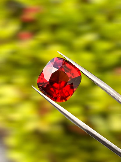 Natural Grossular Garnet (Hessonite) | 9.06ct | Cushion Brilliant Mixed | GIA Alumni Lab Report Provided
