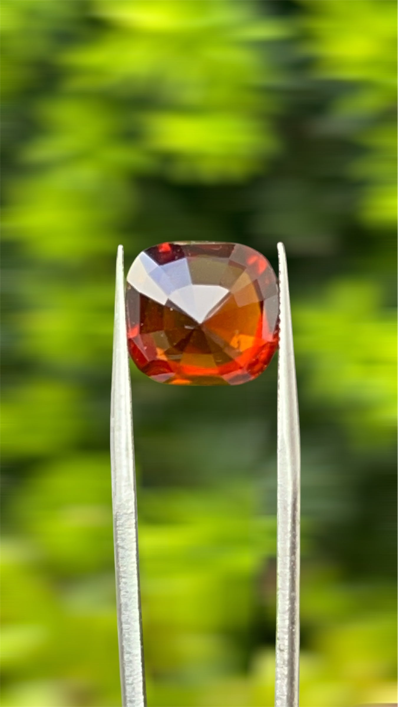 Natural Grossular Garnet (Hessonite) | 9.06ct | Cushion Brilliant Mixed | GIA Alumni Lab Report Provided
