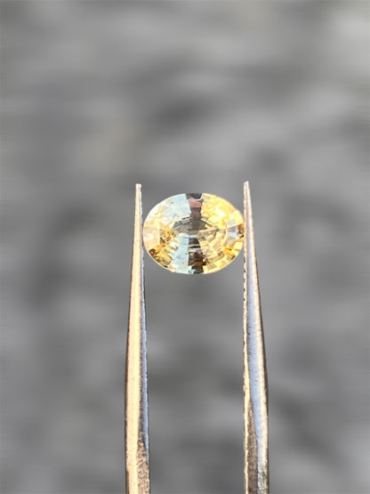 Natural Yellow Sapphire 1.31 CT – Unheated Oval Cut | Certified Loose Gemstone