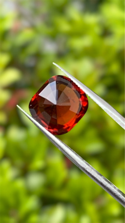 Natural Grossular Garnet (Hessonite) | 9.06ct | Cushion Brilliant Mixed | GIA Alumni Lab Report Provided