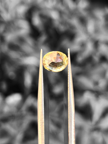 Natural Yellow Sapphire 1.31 CT – Unheated Oval Cut | Certified Loose Gemstone