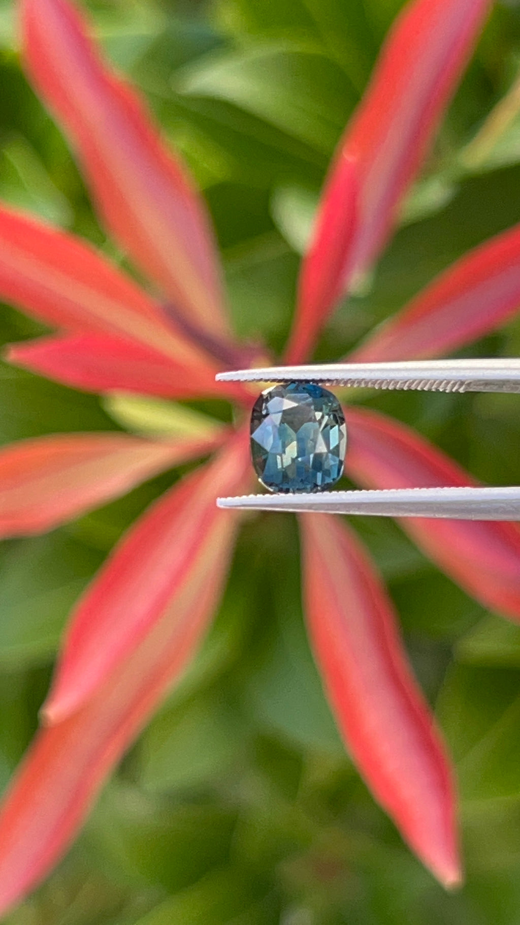 Teal Sapphire | 1.28ct | GIA Alumni Certified | Best Colour