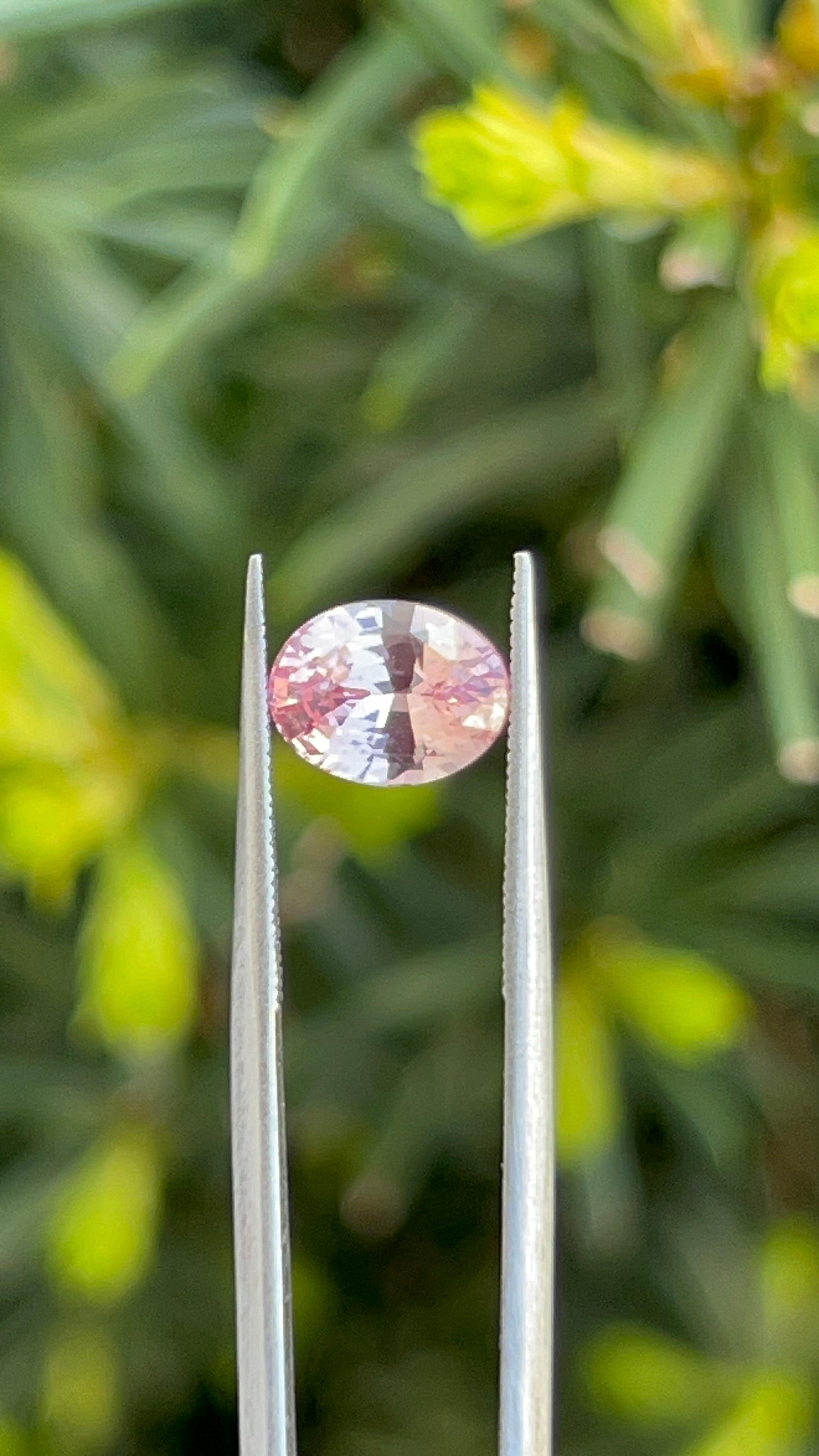 Natural Padparadscha Sapphire | 1.56 ct | Certificate provided | Oval Shape