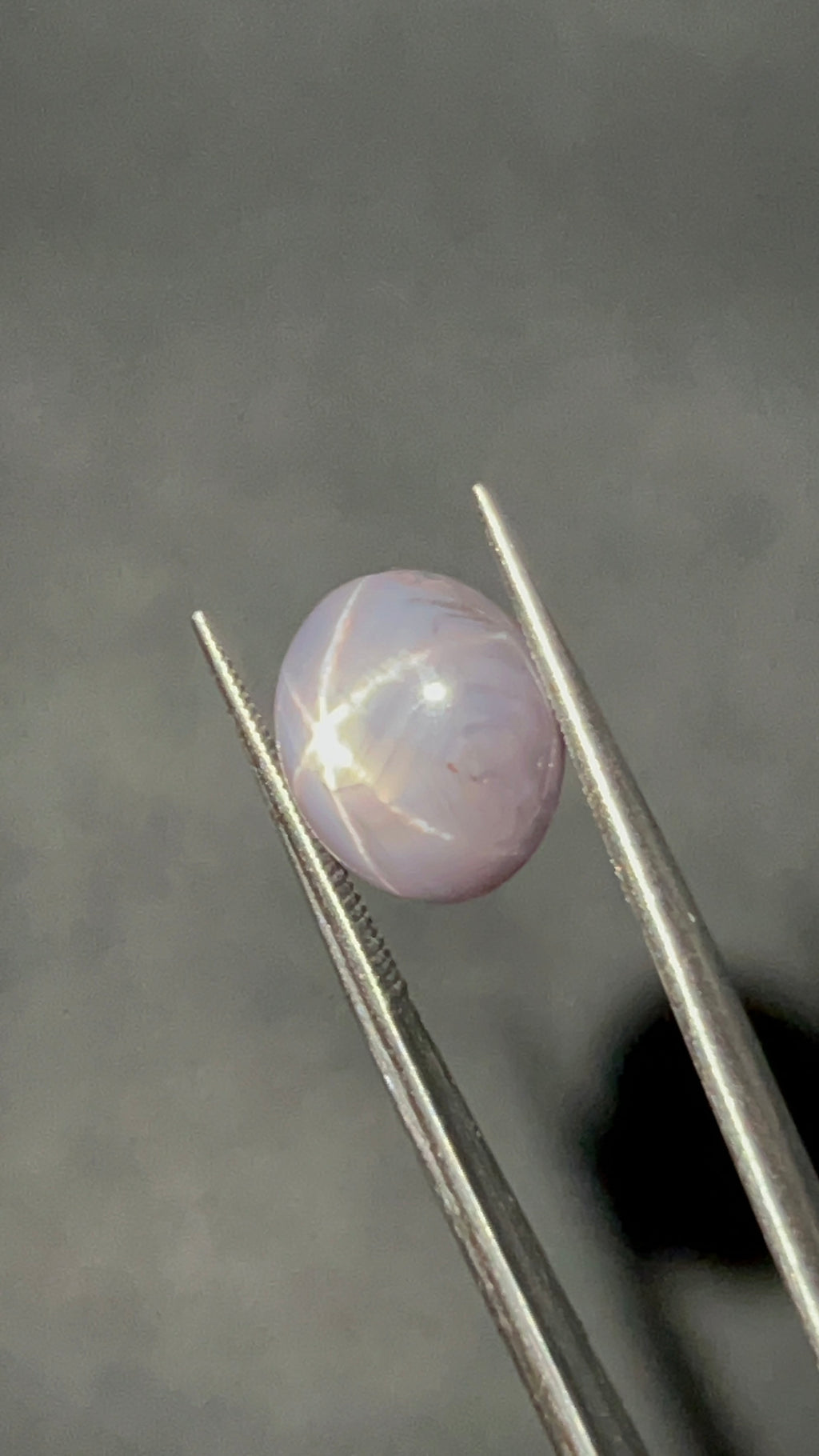Natural Star Sapphire | 6.23 ct | Colour: Gray | Shape: Oval | Cut: Cabochon | GIA alumni certificate