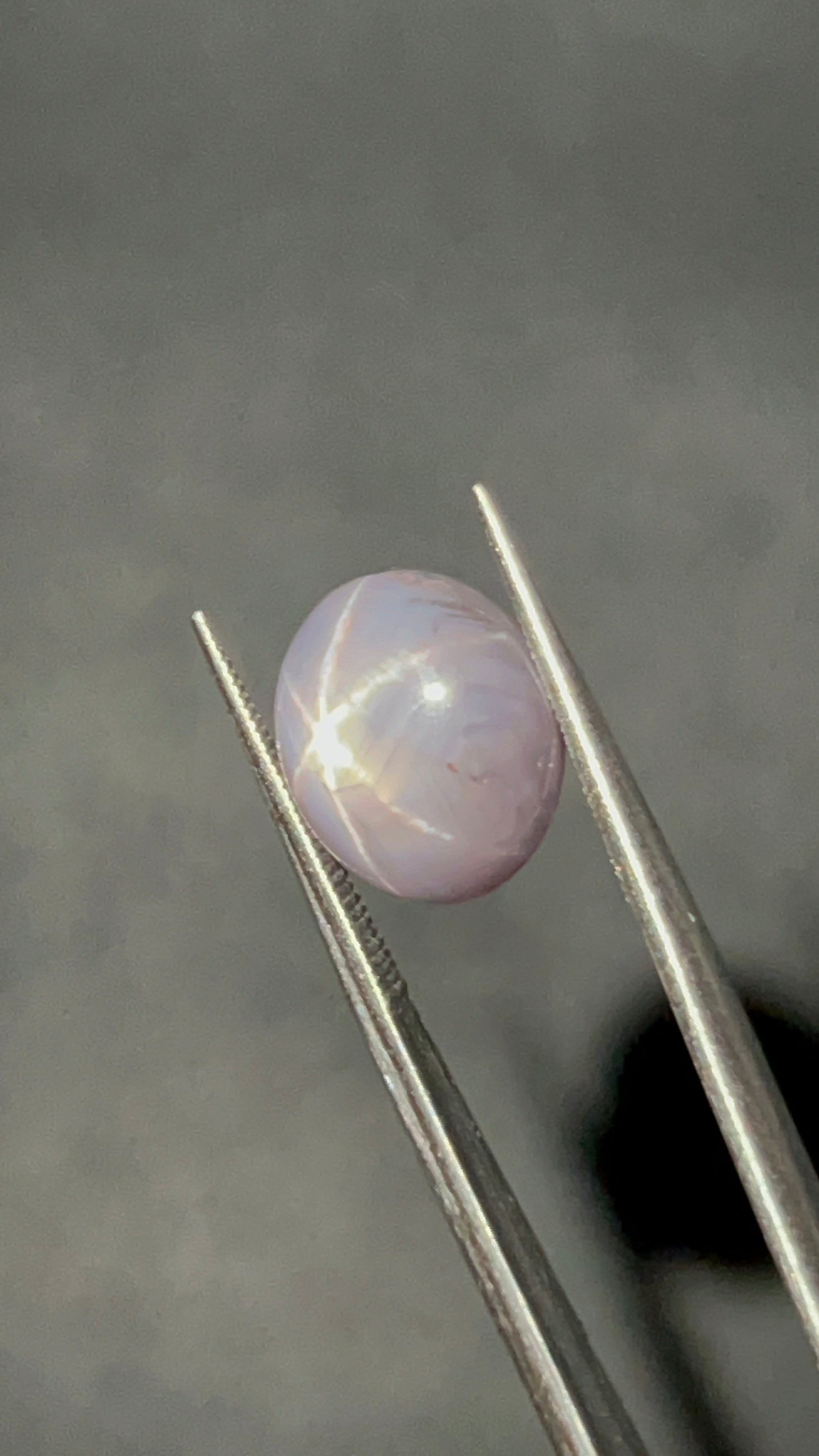 Natural Star Sapphire | 6.23 ct | Colour: Gray | Shape: Oval | Cut: Cabochon | GIA alumni certificate