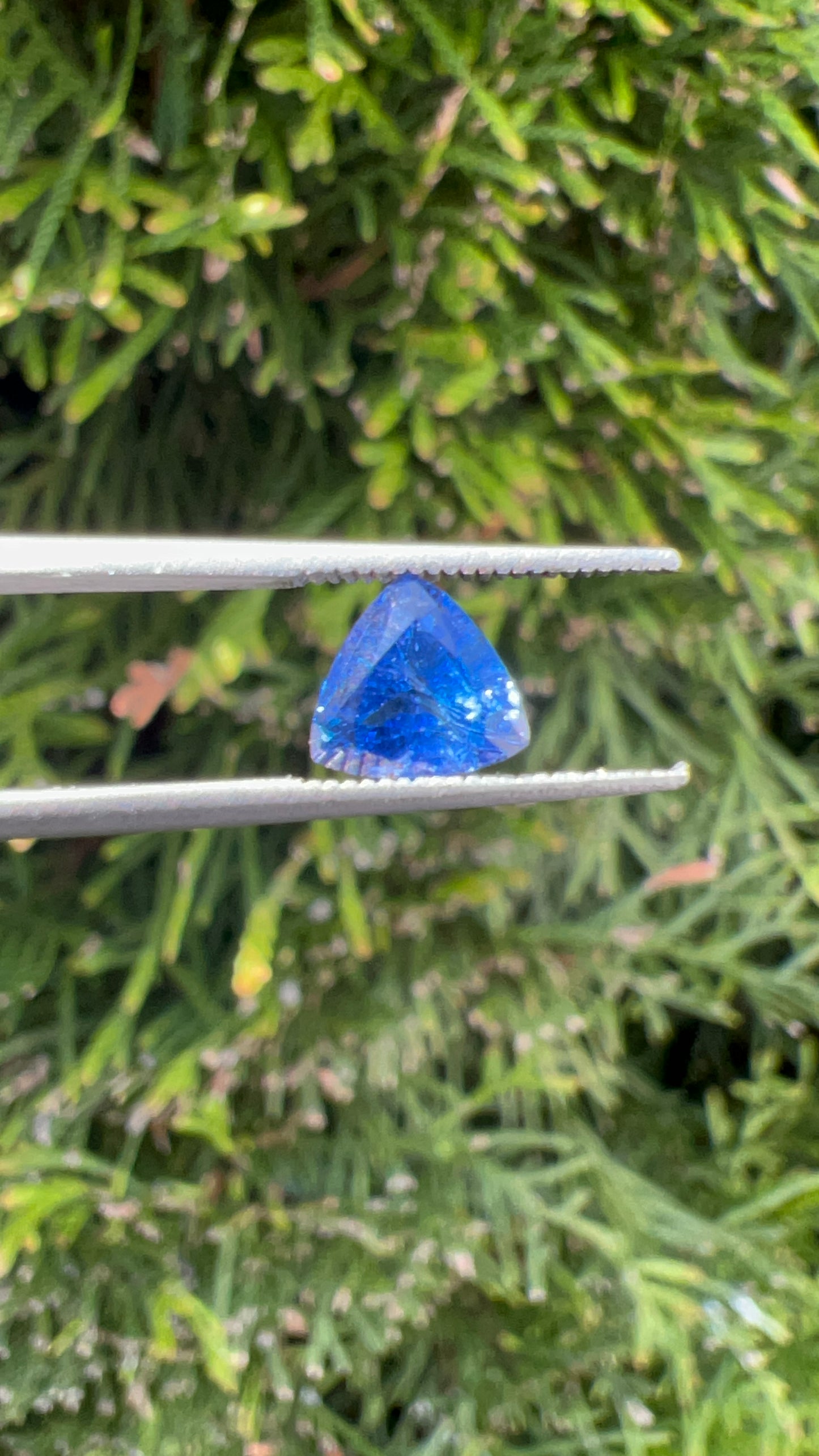 AAA+ Natural Blue Sapphire | Cornflower Color | 1.10ct | trillion Cut | Unheated | loose gemstone | origin: Sri Lanka