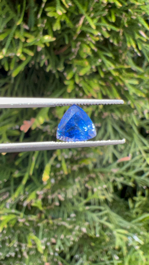 AAA+ Natural Blue Sapphire | Cornflower Color | 1.10ct | trillion Cut | Unheated | loose gemstone | origin: Sri Lanka