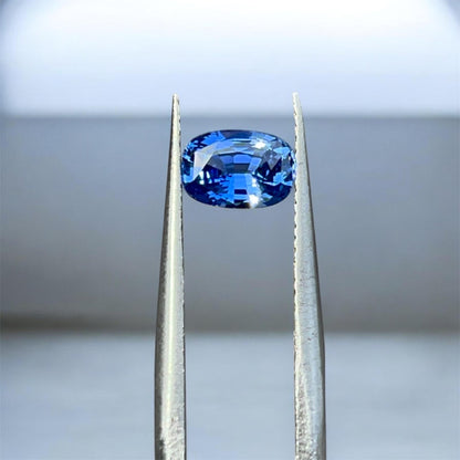 1.09ct Unheated Cornflower Ceylon Blue Sapphire – Natural Certified Cushion Cut Loose Gemstone