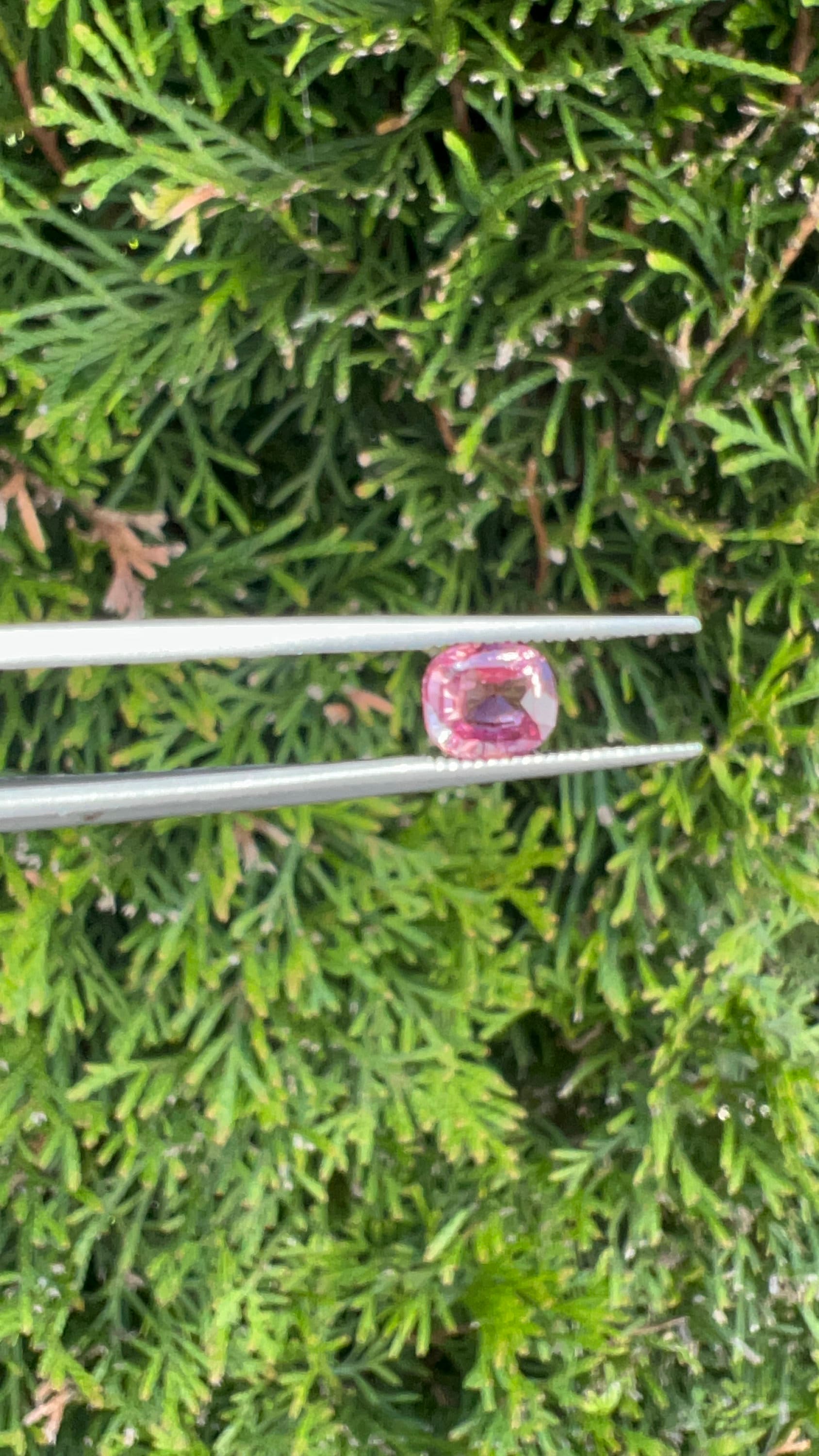 Natural Spinel | 0.80ct | hot pink color | unheated | loose gemstone | origin: Ceylon