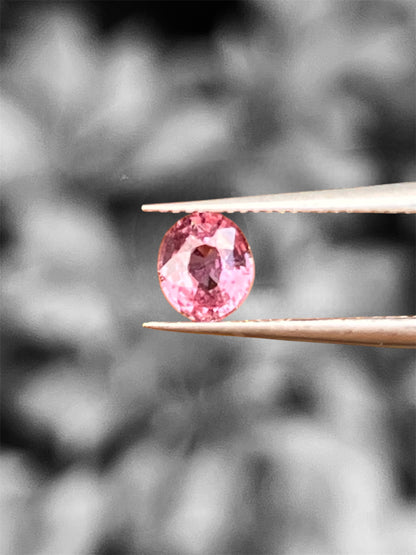 Natural Padparadscha Sapphire |1.02ct | Oval Shape | GIA Alumni Certificate provided