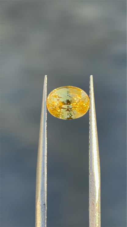 Natural Unheated Yellow Sapphire 1.78ct Oval Cut | Certified Loose Gemstone | Pukhraj