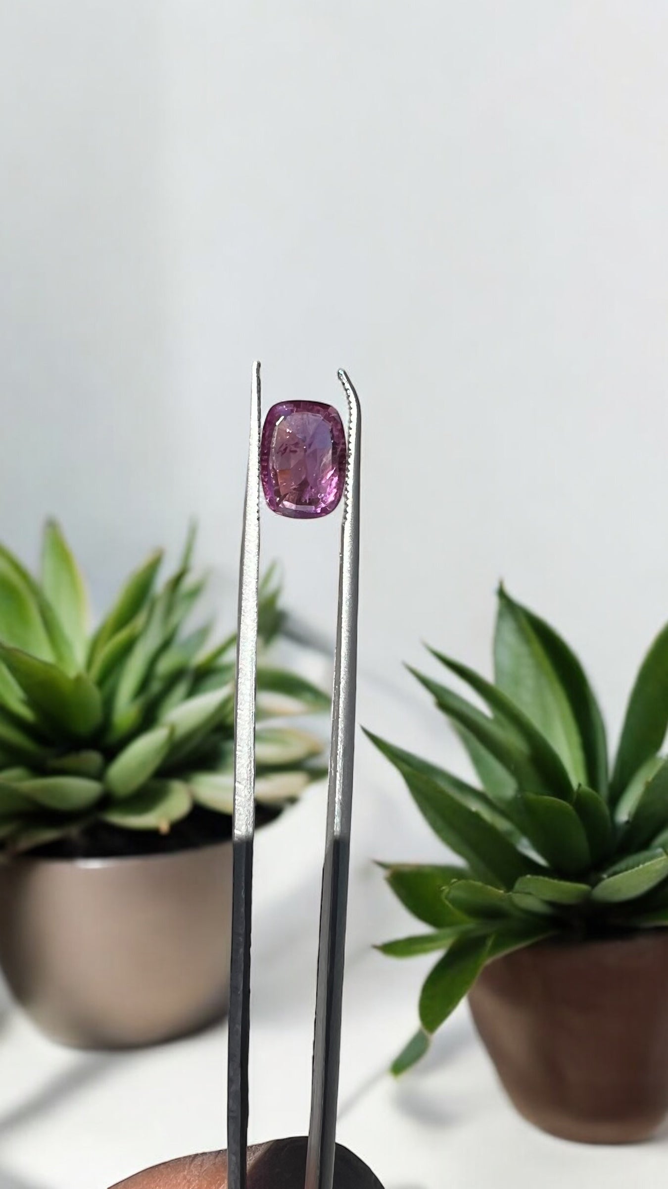 Natural Pink Sapphire | 2.24ct | Cushion Cut | Pinkish Purple Colour | Certificate of Authenticity provided