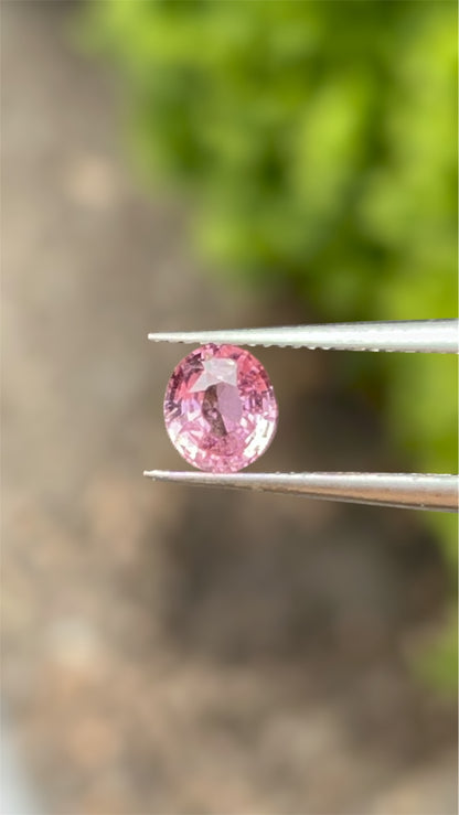 Natural Padparadscha Sapphire |1.02ct | Oval Shape | GIA Alumni Certificate provided
