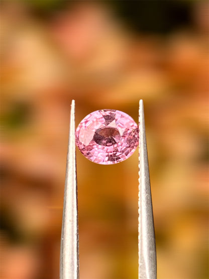 Natural Padparadscha Sapphire |1.02ct | Oval Shape | GIA Alumni Certificate provided