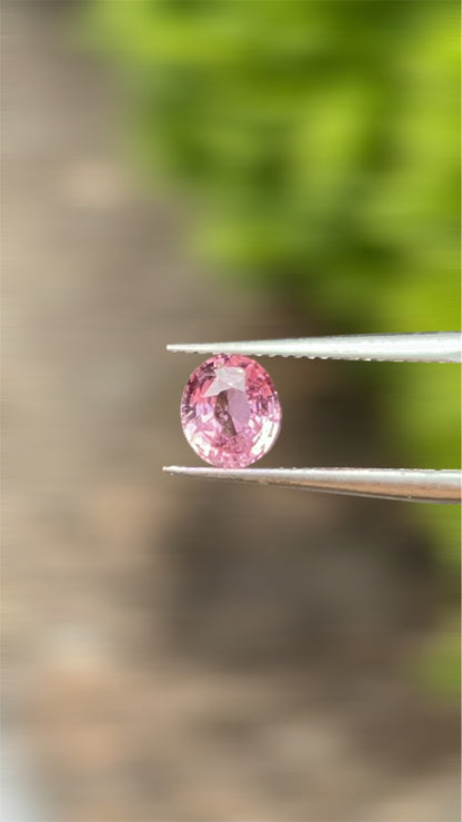 Natural Padparadscha Sapphire |1.02ct | Oval Shape | GIA Alumni Certificate provided