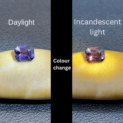 Natural Colour Changing Spinel | 1.31 ct | Octagon Step cut | GIA Alumni lab report provided