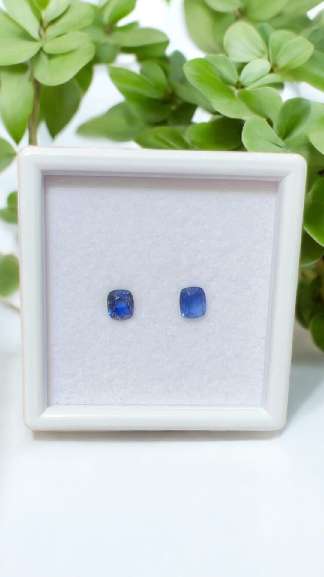 Natural Blue Sapphire Pair | 0.87 / 0.97 ct | Heated | Origin: Ceylon