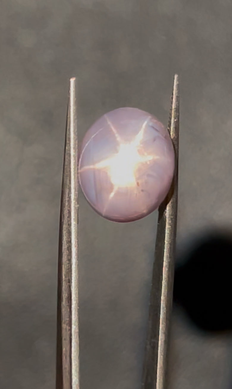 Natural Star Sapphire | 6.23 ct | Colour: Gray | Shape: Oval | Cut: Cabochon | GIA alumni certificate