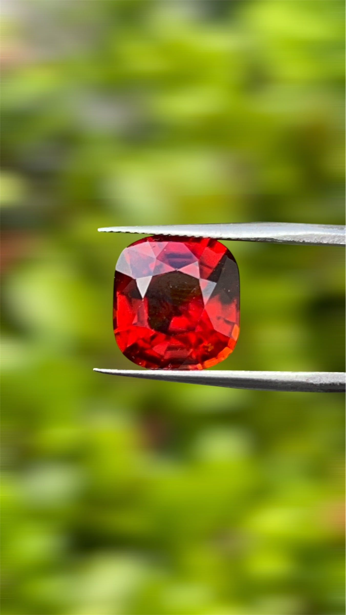 Natural Grossular Garnet (Hessonite) | 9.06ct | Cushion Brilliant Mixed | GIA Alumni Lab Report Provided