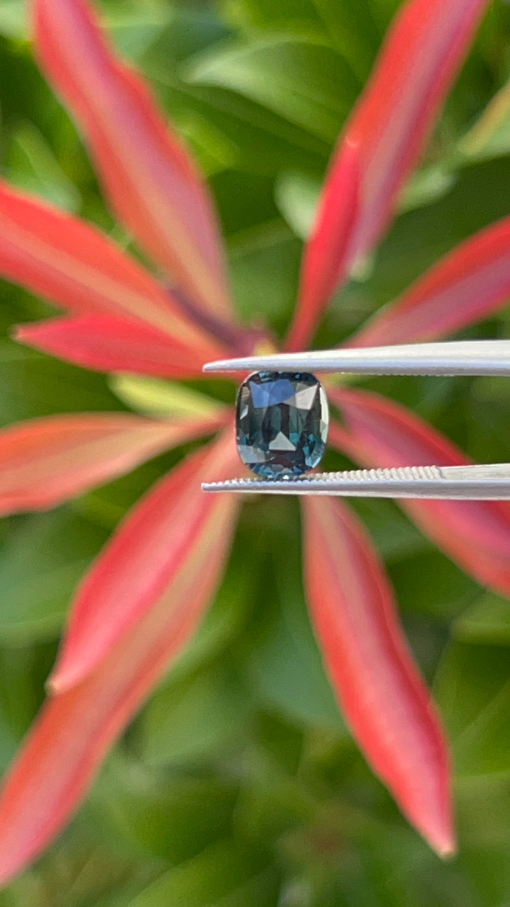 Teal Sapphire | 1.28ct | GIA Alumni Certified | Best Colour