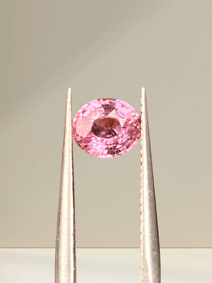 Natural Padparadscha Sapphire |1.02ct | Oval Shape | GIA Alumni Certificate provided