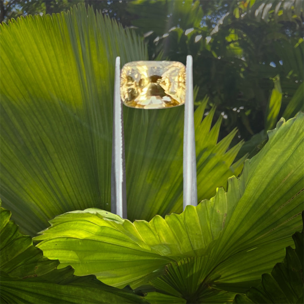 Natural Yellow Sapphire | 2.01ct | Unheated Gemstone | Radiant Cut | Certified