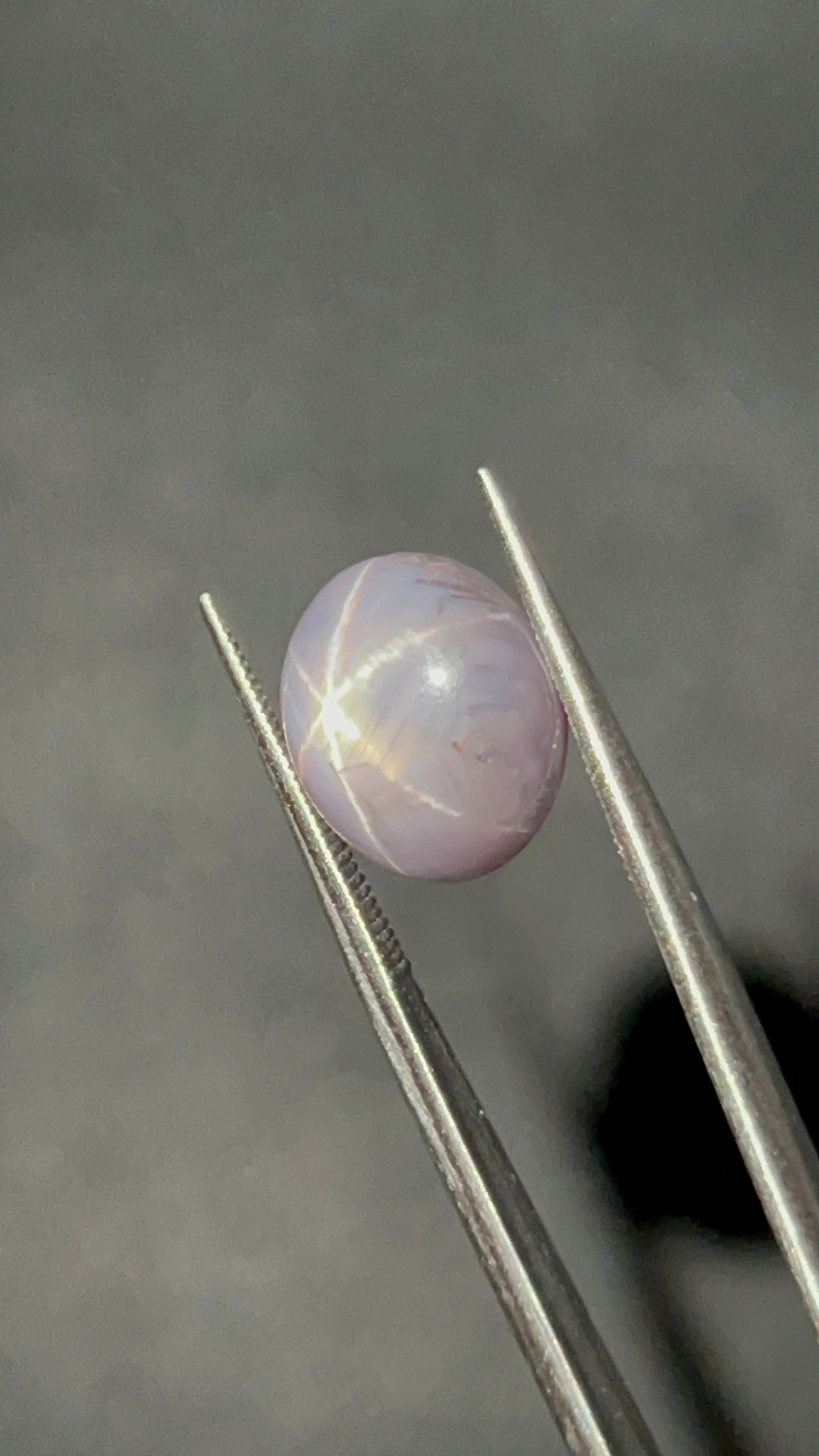 Natural Star Sapphire | 6.23 ct | Colour: Gray | Shape: Oval | Cut: Cabochon | GIA alumni certificate