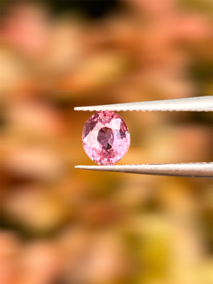Natural Padparadscha Sapphire |1.02ct | Oval Shape | GIA Alumni Certificate provided