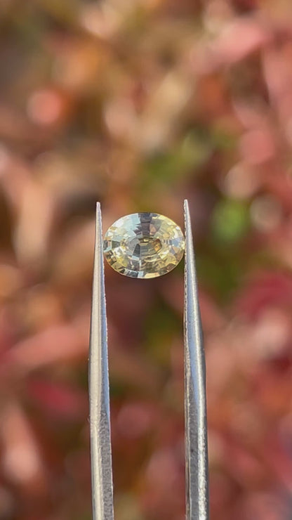 Natural Yellow Sapphire 1.31 CT – Unheated Oval Cut | Certified Loose Gemstone