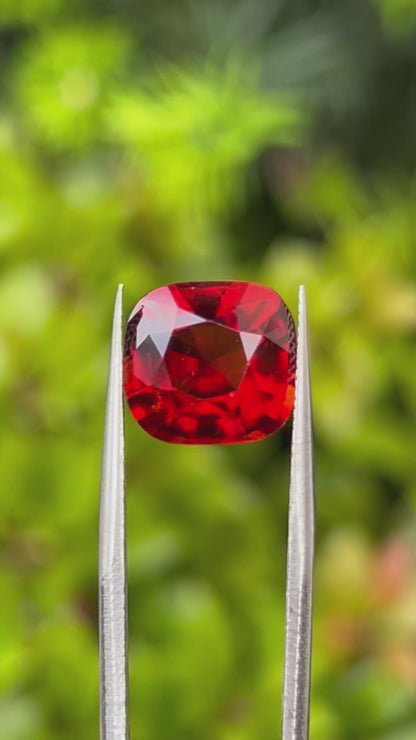 Natural Grossular Garnet (Hessonite) | 9.06ct | Cushion Brilliant Mixed | GIA Alumni Lab Report Provided