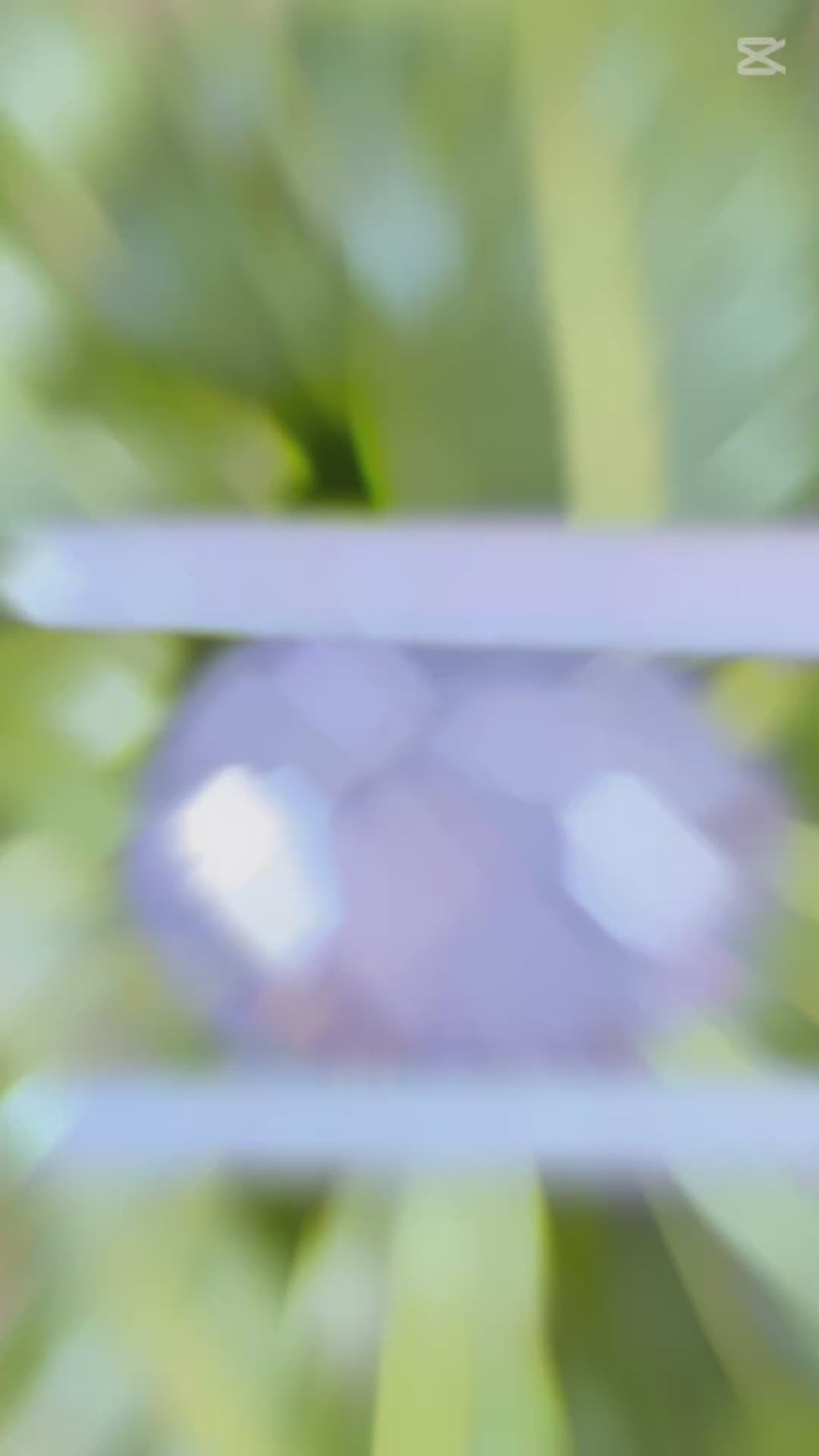 Natural Star Sapphire | 6.23 ct | Colour: Gray | Shape: Oval | Cut: Cabochon | GIA alumni certificate