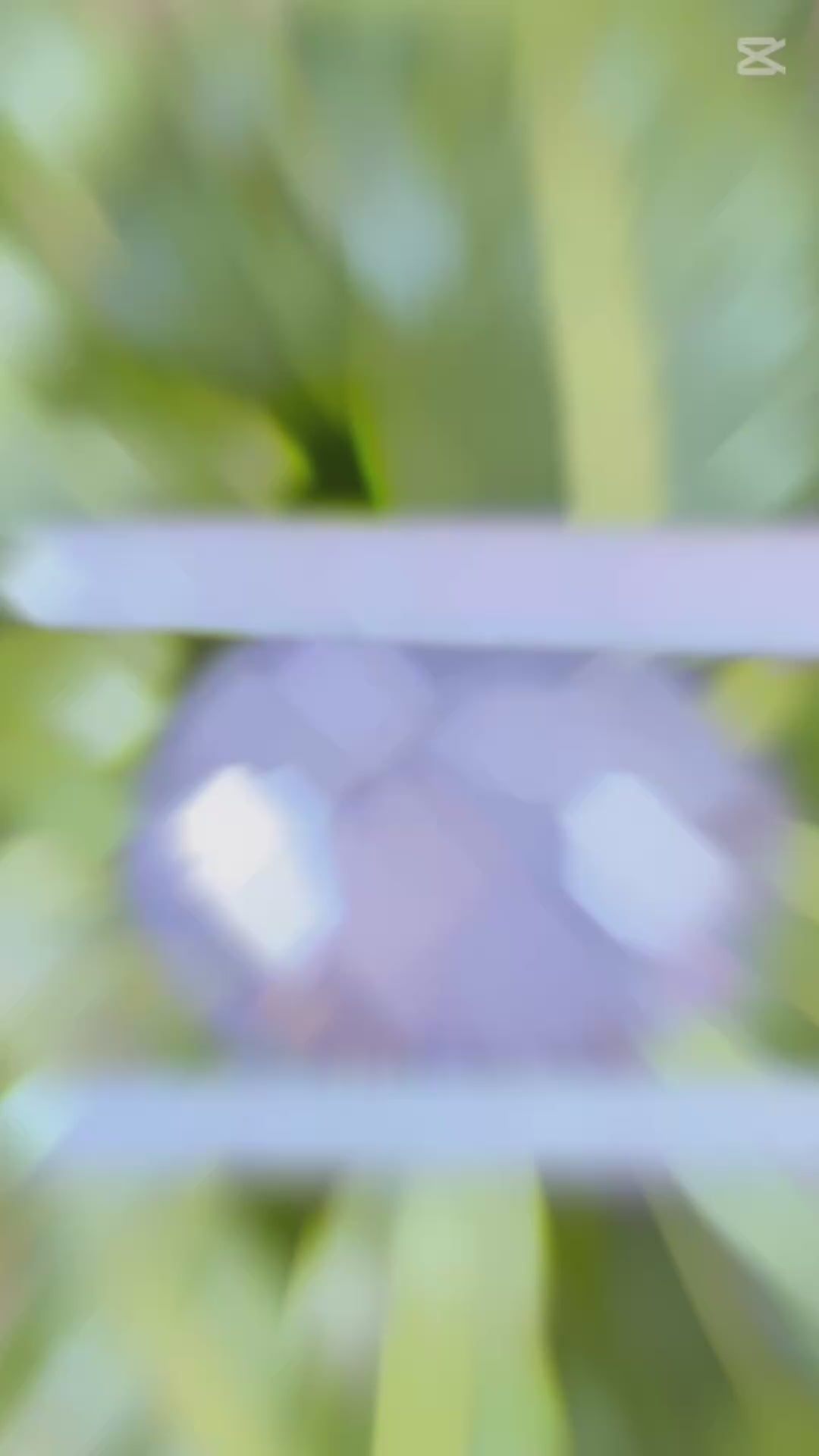 Natural Star Sapphire | 6.23 ct | Colour: Gray | Shape: Oval | Cut: Cabochon | GIA alumni certificate