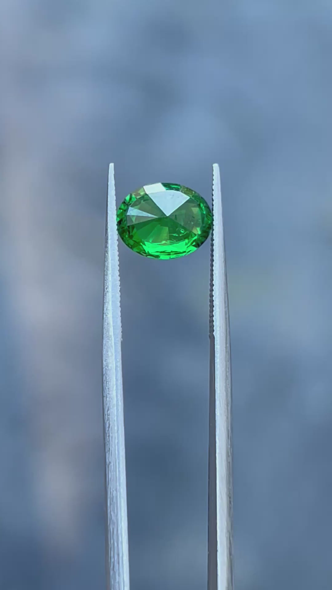Natural Tsavorite | 1.43 ct | Vivid Green | Oval shape | Certified by GIA alumni member