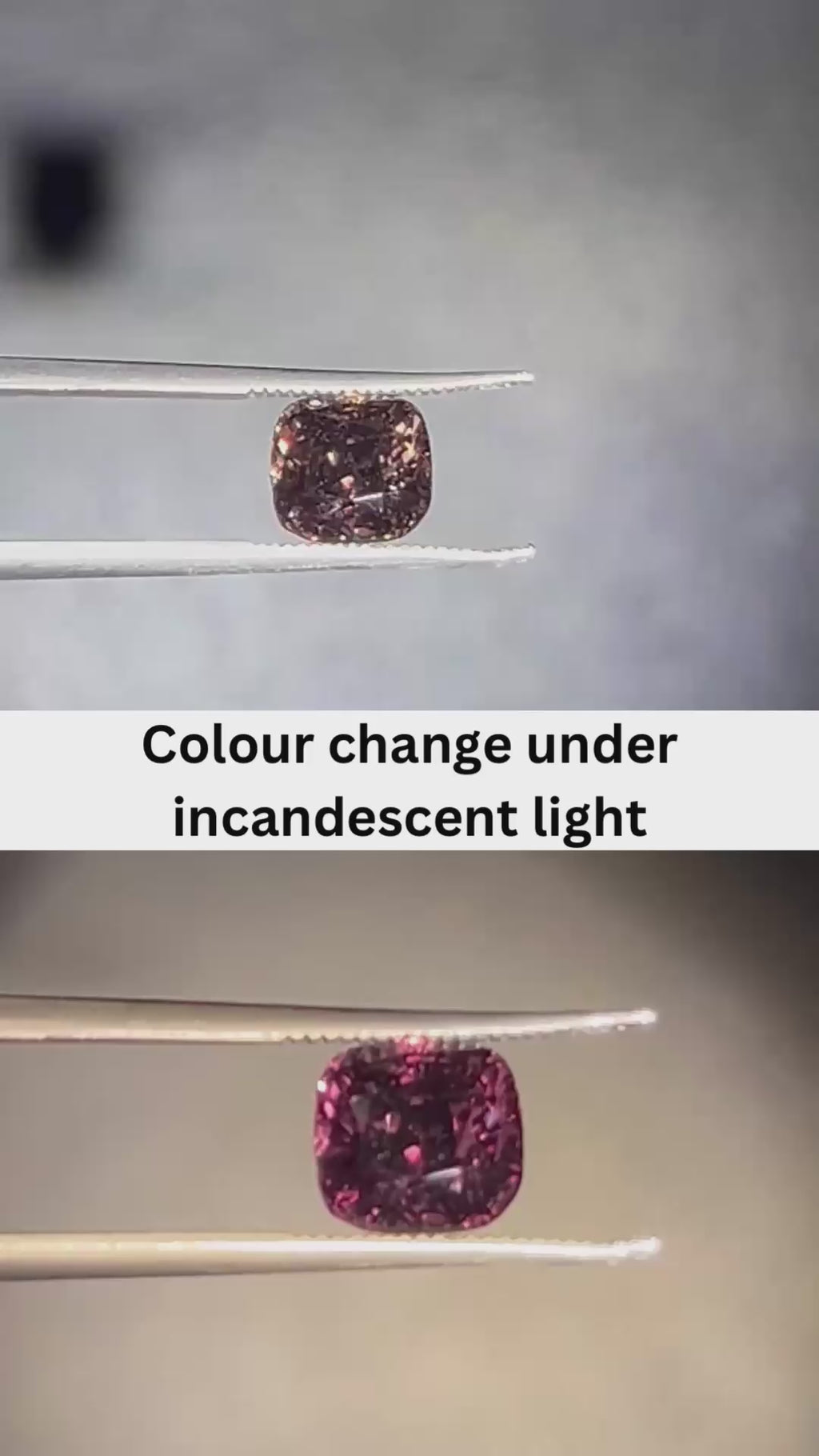 Natural Colour Changing Sapphire | 2.00ct | Heated | Good Colour Change | GIA Alumni Lab Report Provided