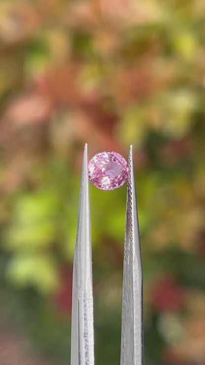 Natural Padparadscha Sapphire |1.02ct | Oval Shape | GIA Alumni Certificate provided