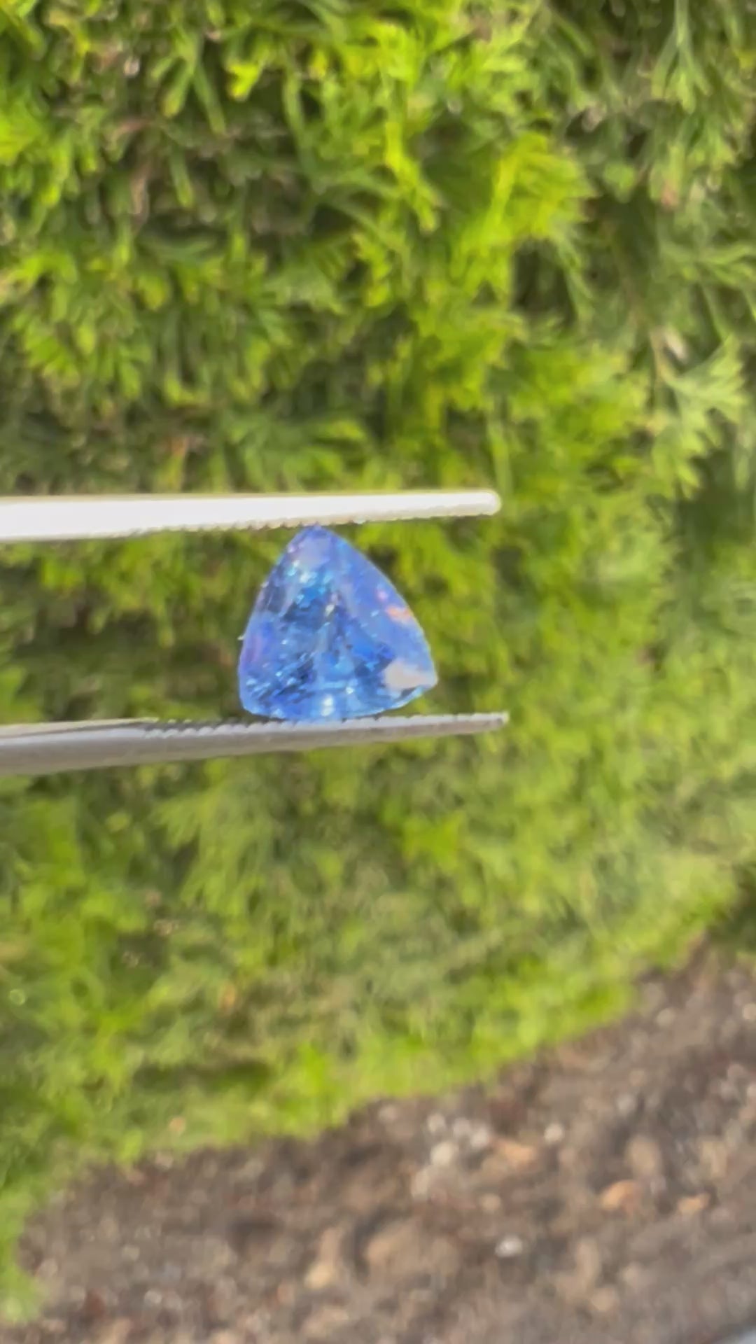 AAA+ Natural Blue Sapphire | Cornflower Color | 1.10ct | trillion Cut | Unheated | loose gemstone | origin: Sri Lanka