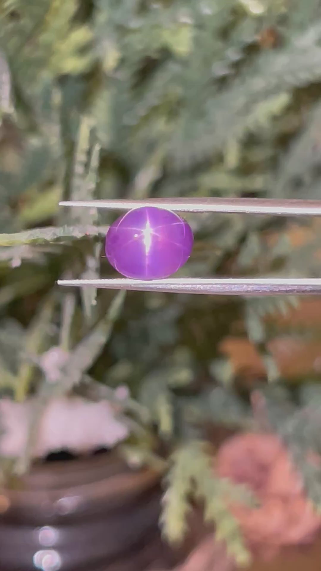 Purple Star Sapphire | 4.55 ct | Ceylon Origin | Oval Cabochon |8.53 X 7.15 X 7.54 mm